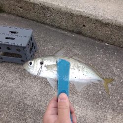 先週のリベンジ